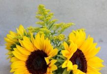 Bí quyết cải thiện kỹ năng Writing