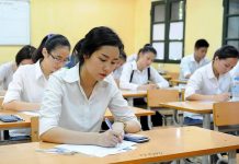 Phân tích từng dạng bài trong đề thi tiếng Anh THPT