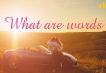 Học tiếng Anh qua bài hát WHAT ARE WORDS | Elight Cover